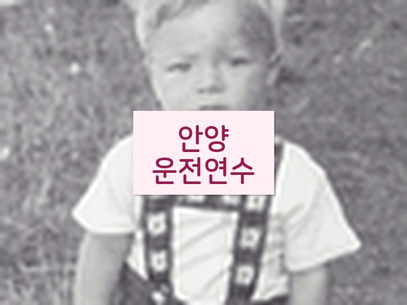안양운전연수 후기