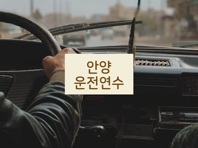 안양운전연수 후기