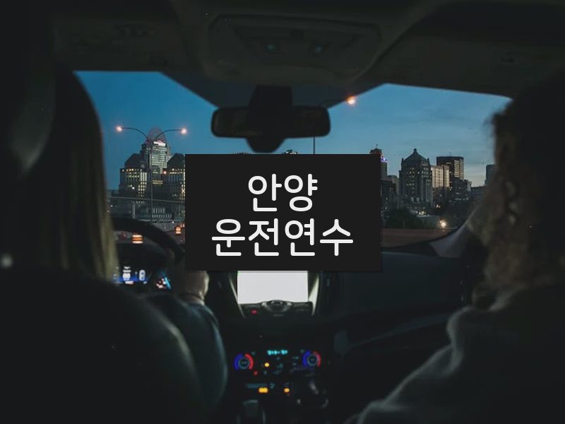 안양운전연수 후기