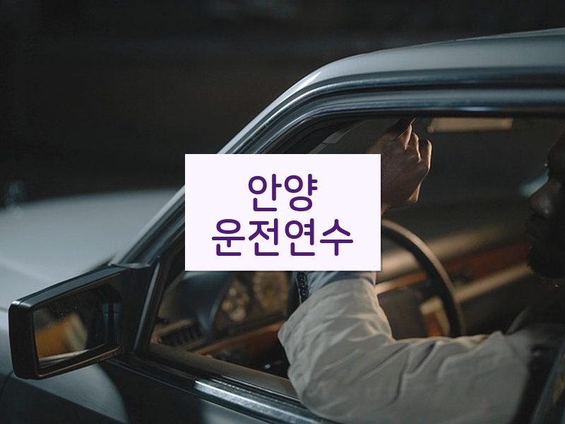 안양운전연수 후기