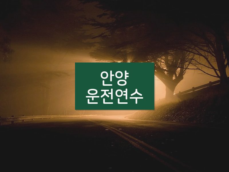 안양운전연수 후기