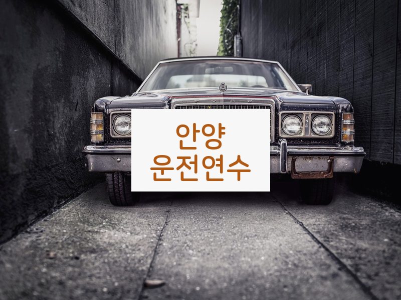 안양운전연수 후기