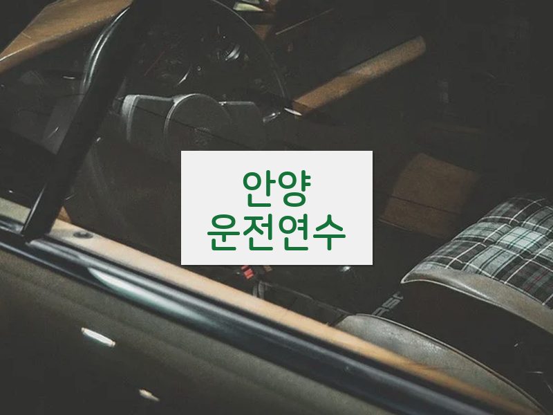 안양운전연수 후기