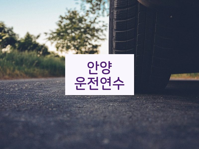 안양운전연수 후기