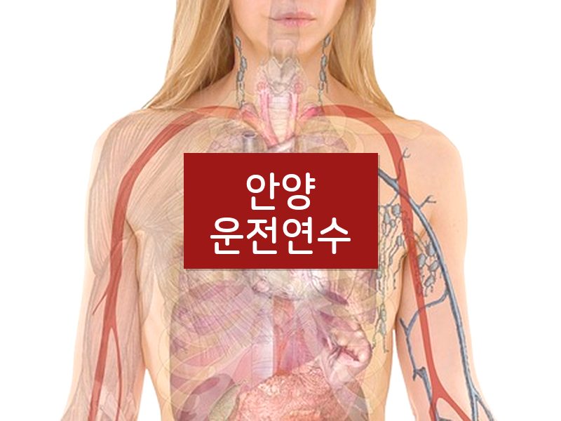 안양운전연수 후기