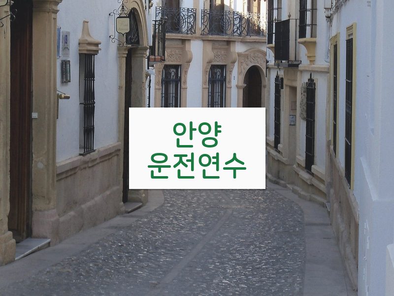 안양운전연수 후기