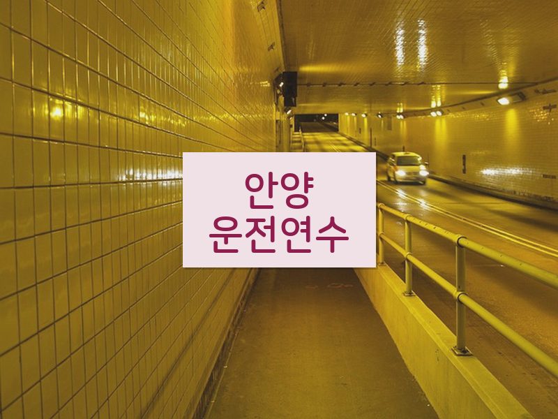 안양운전연수 후기