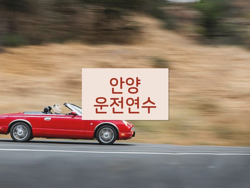 안양운전연수 후기