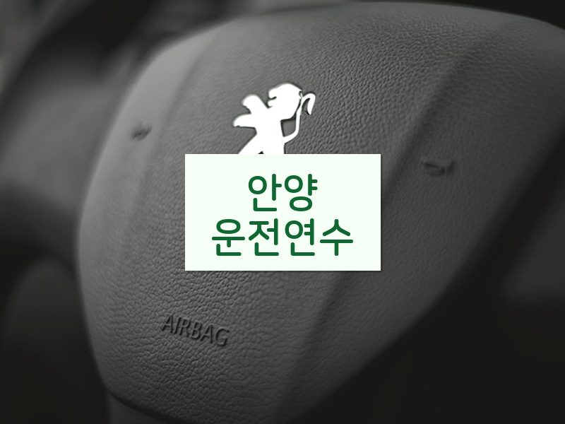 안양운전연수 후기