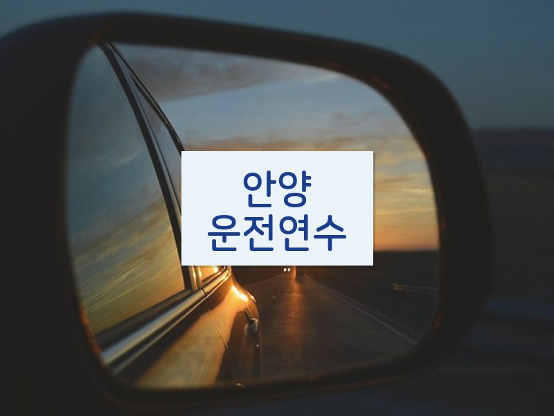 안양운전연수 후기