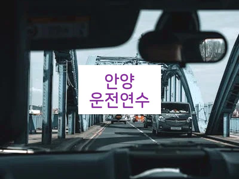 안양운전연수 후기