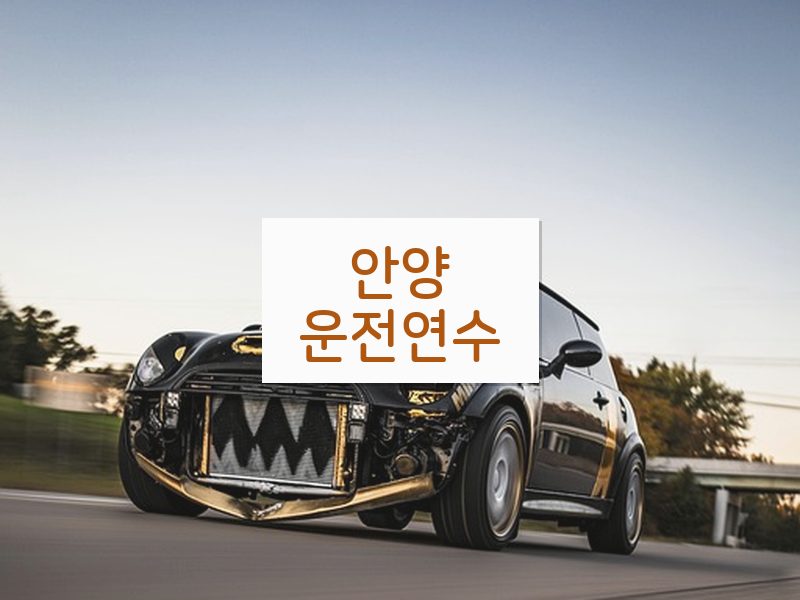 안양운전연수 후기