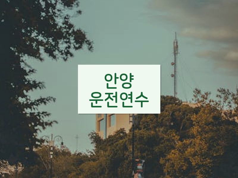 안양운전연수 후기