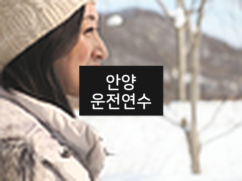 안양운전연수 후기