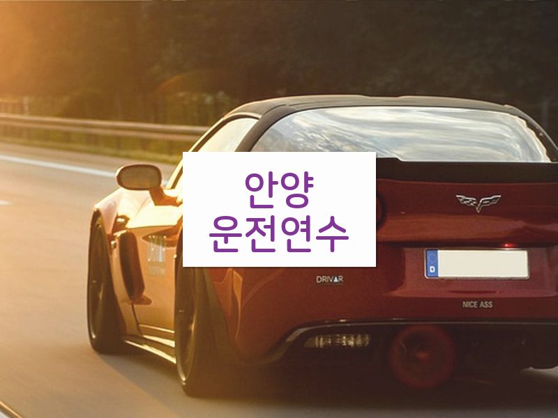 안양운전연수 후기