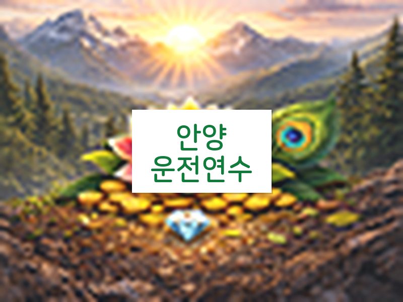 안양운전연수 후기