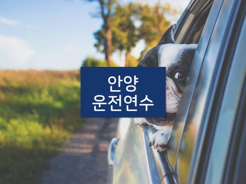 안양운전연수 후기