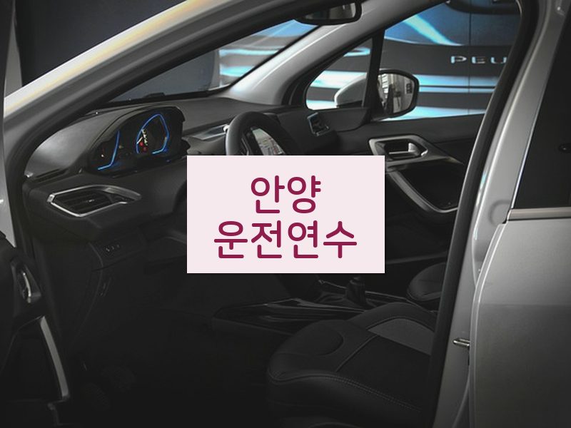 안양운전연수 후기