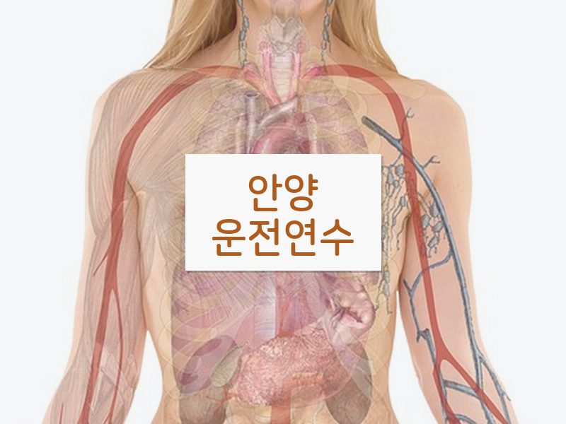 안양운전연수 후기