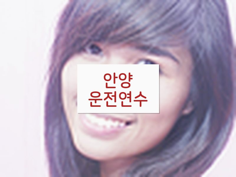 안양운전연수 후기