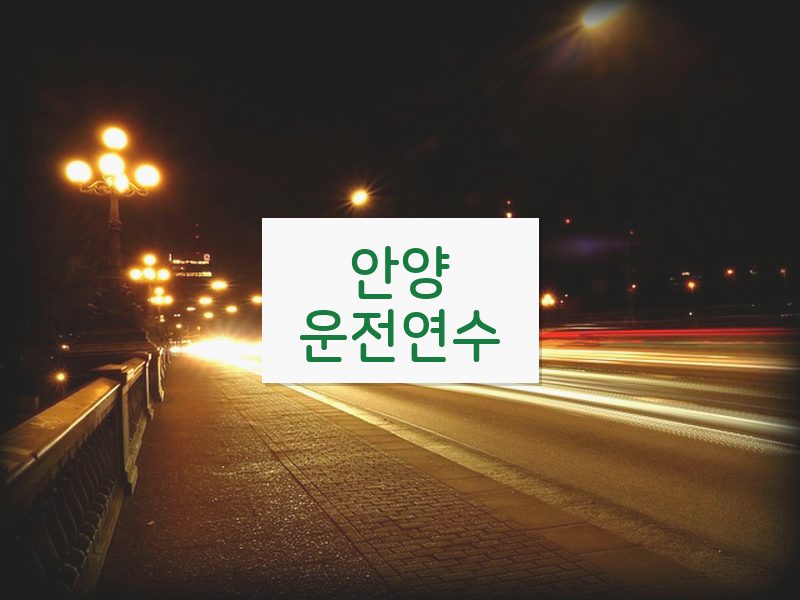안양운전연수 후기