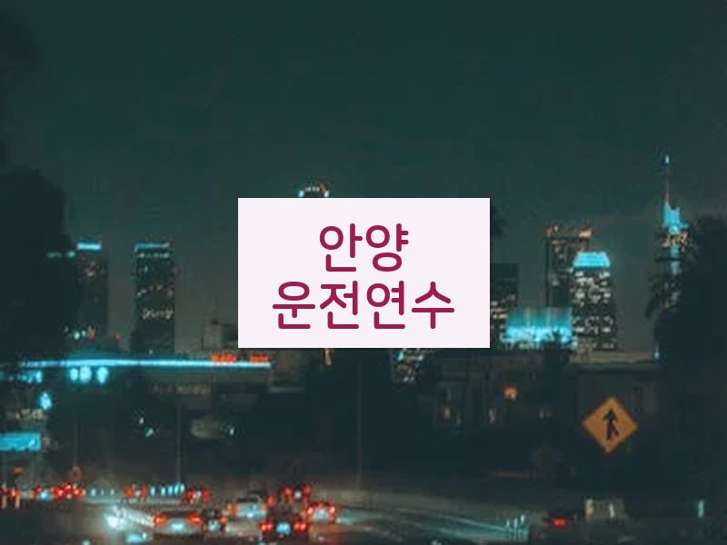 안양운전연수 후기