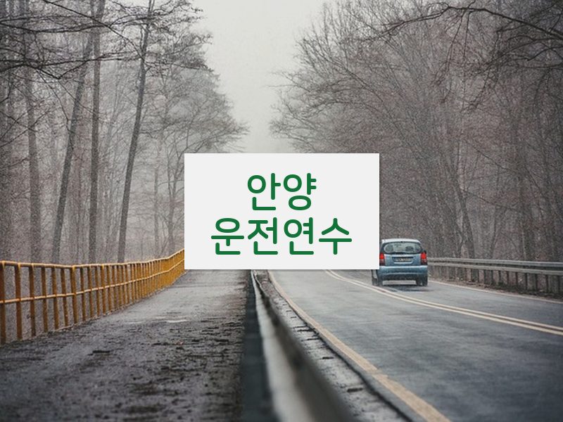 안양운전연수 후기