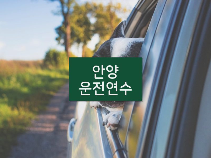 안양운전연수 후기