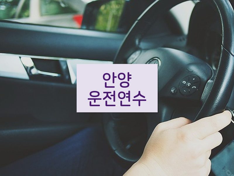 안양운전연수 후기