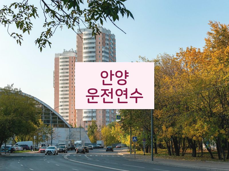 안양운전연수 후기