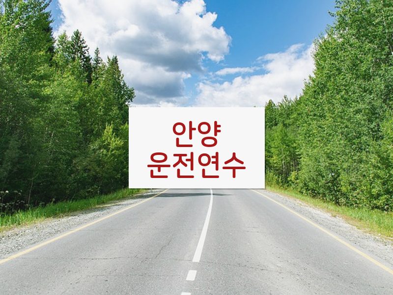 안양운전연수 후기