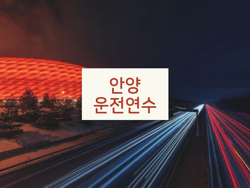 안양운전연수 후기