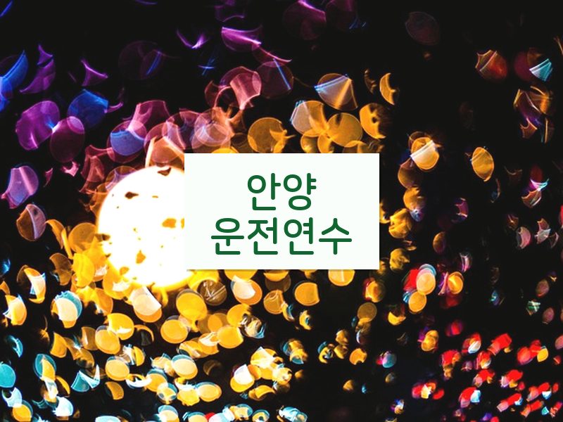 안양운전연수 후기