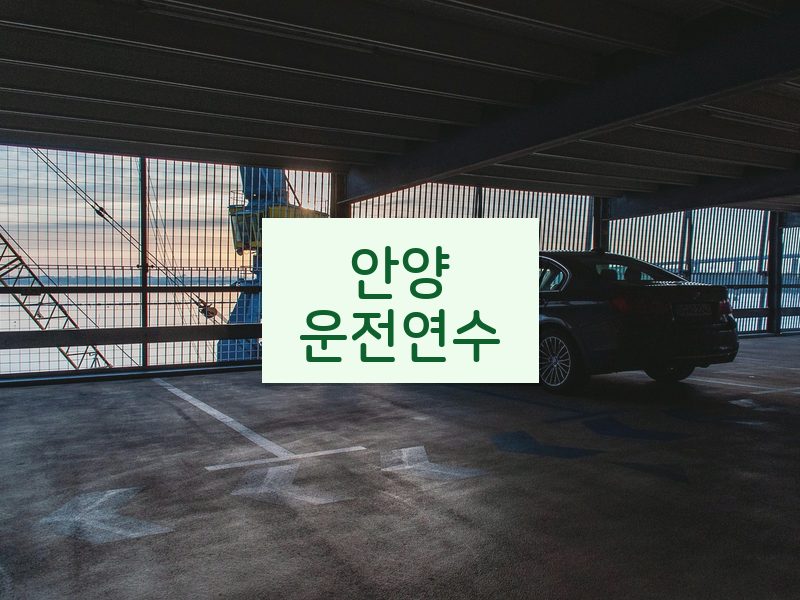 안양운전연수 후기