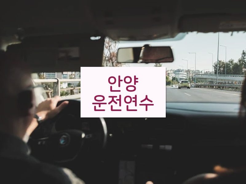 안양운전연수 후기