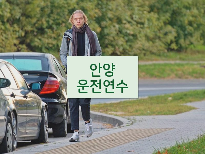 안양운전연수 후기