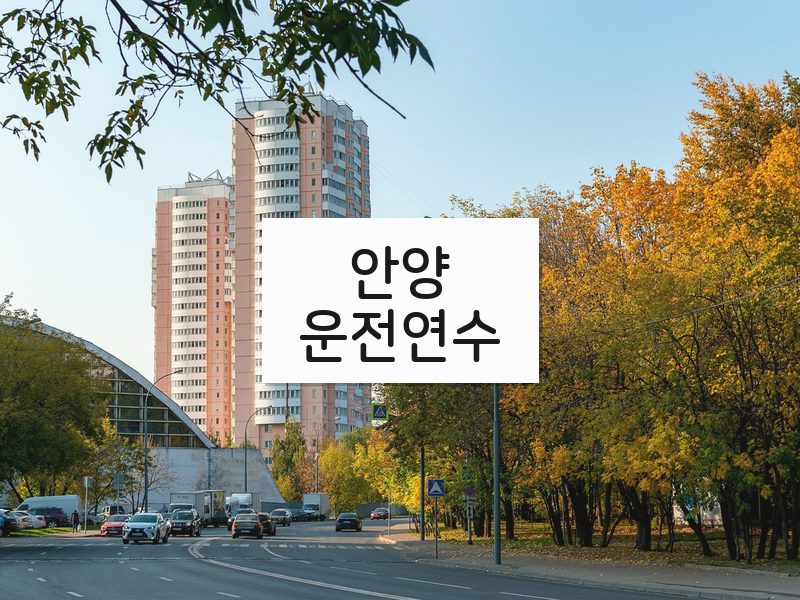안양운전연수 후기