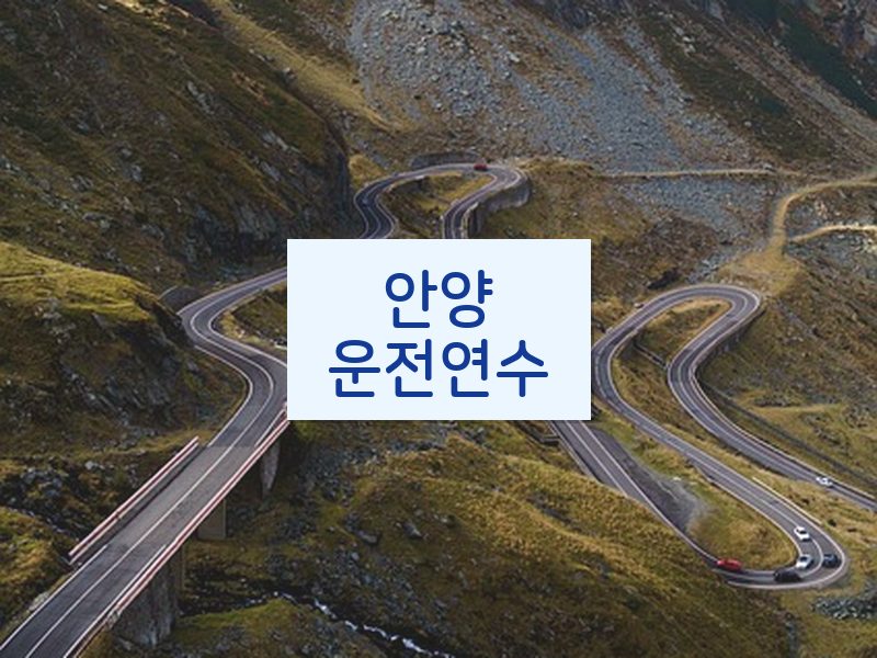 안양운전연수 후기