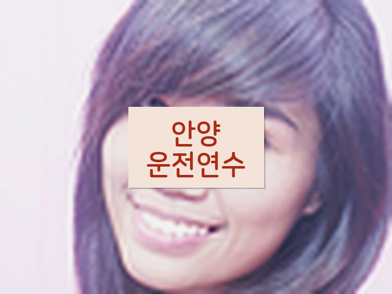 안양운전연수 후기