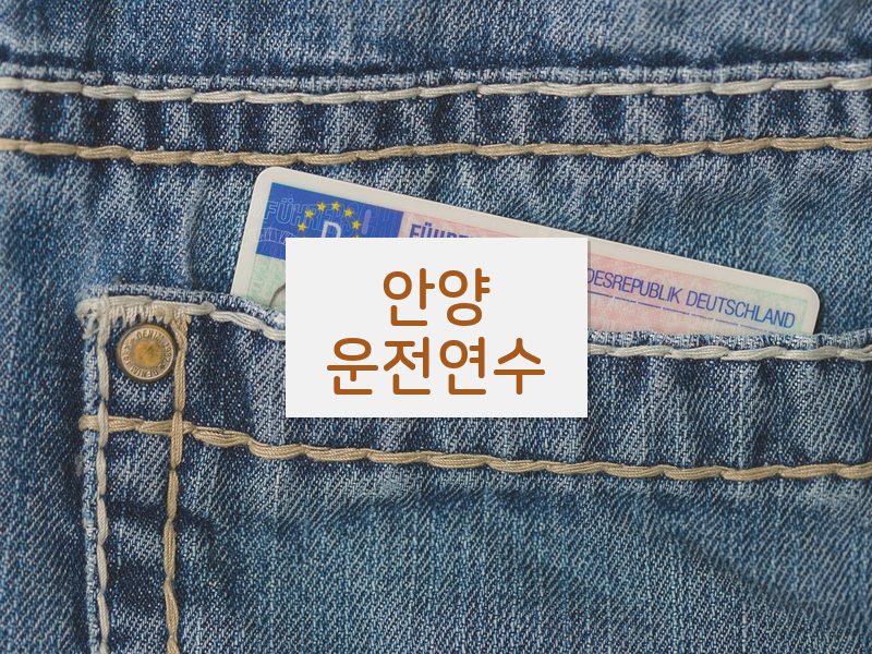 안양운전연수 후기