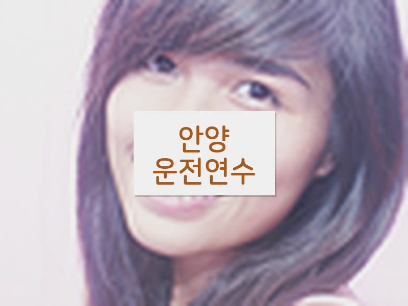 안양운전연수 후기