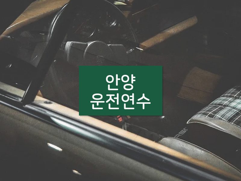 안양운전연수 후기