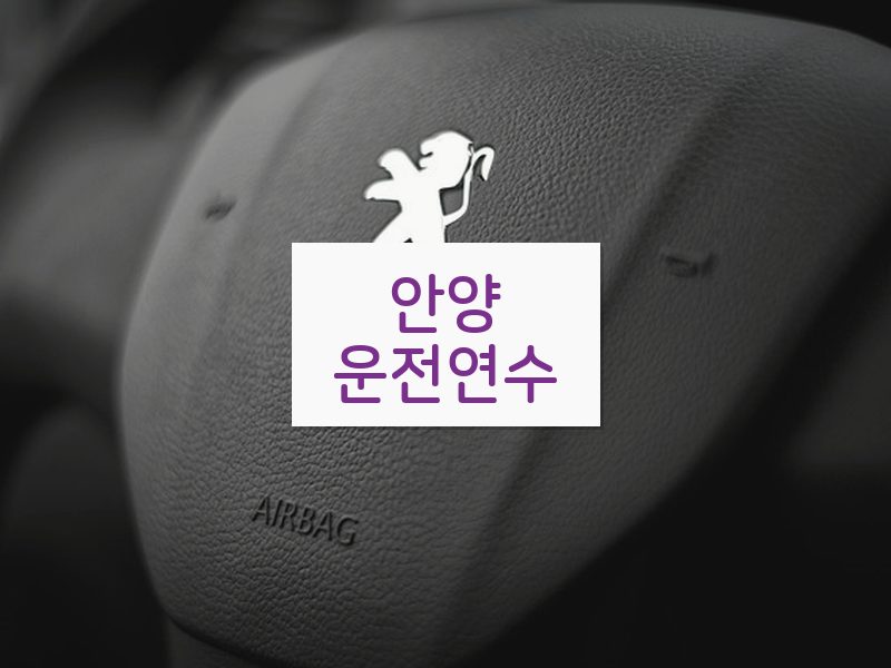 안양운전연수 후기