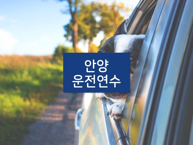 안양운전연수 후기
