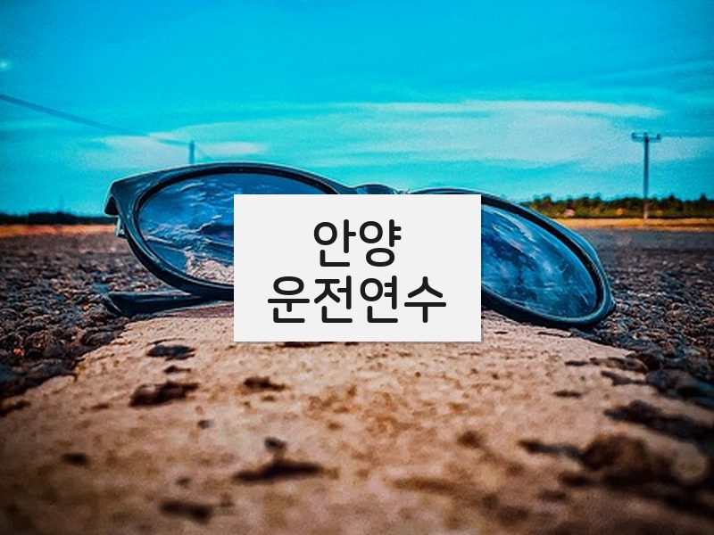 안양운전연수 후기