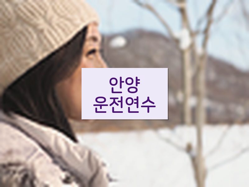 안양운전연수 후기