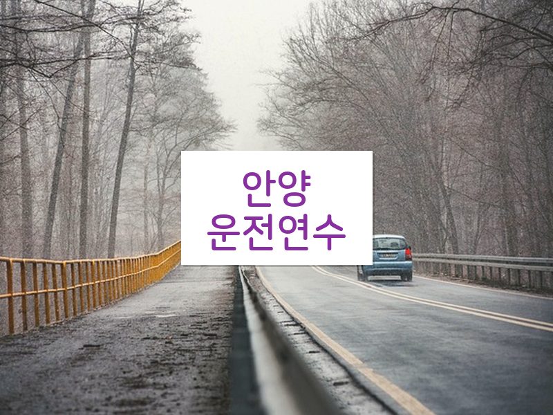 안양운전연수 후기