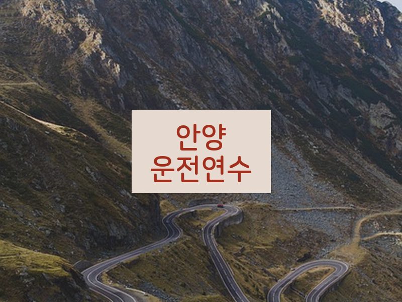 안양운전연수 후기