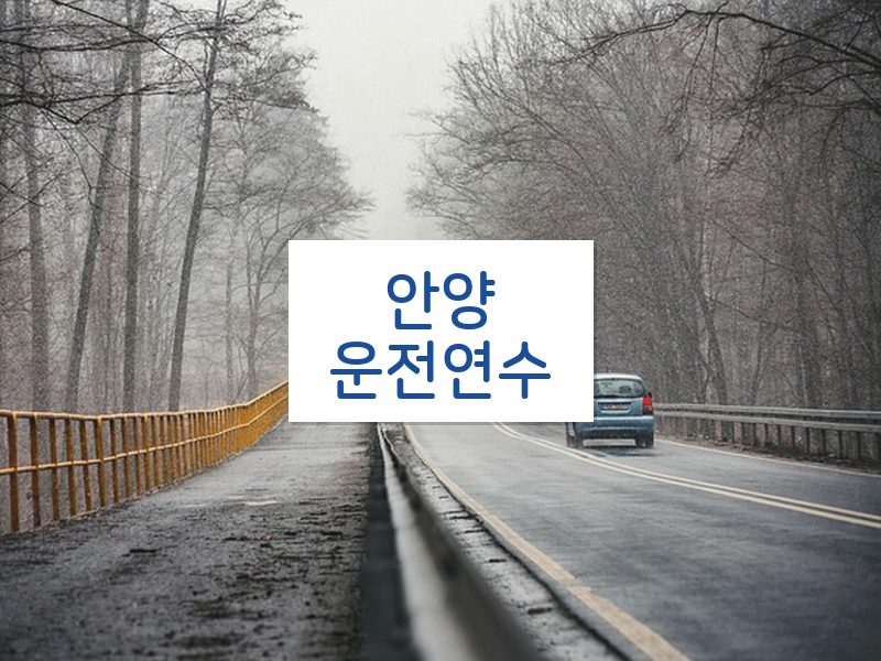 안양운전연수 후기