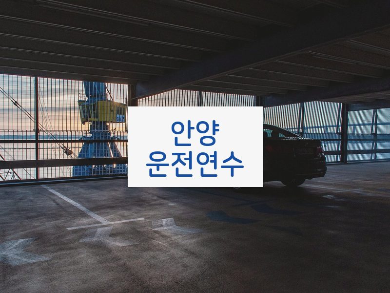 안양운전연수 후기